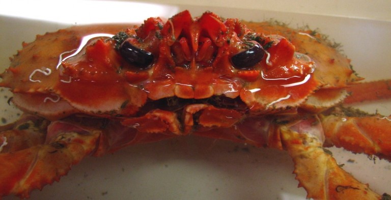 A deep-sea tanner crab (Chionoecetes bairdi) from 2000 m off the Oregon coast. Like fishes, crabs and their close crustacean relatives such as shrimp have increased TMAO concentrations correlating with depth, and—again like fishes—do not seem to live below about 8000 m. And yet other crustaceans, do thrive down to 11,000 m. We hope to discover how. 